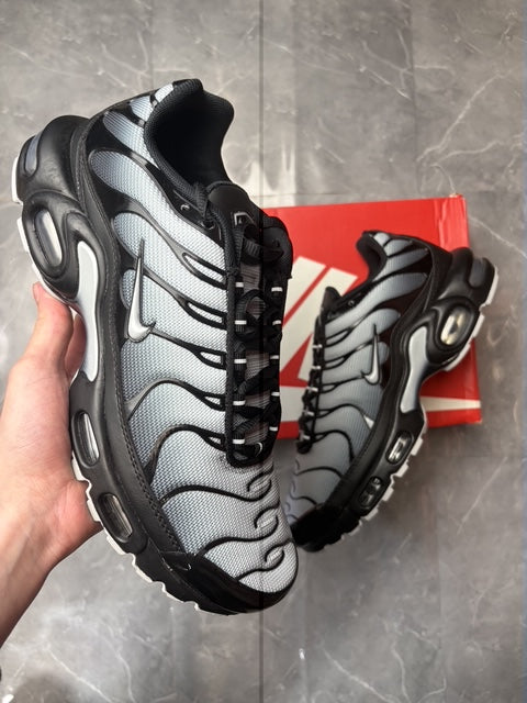 Airmax Zebra