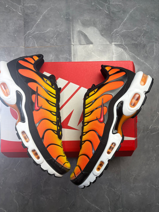 Airmax TN Plus Sunset