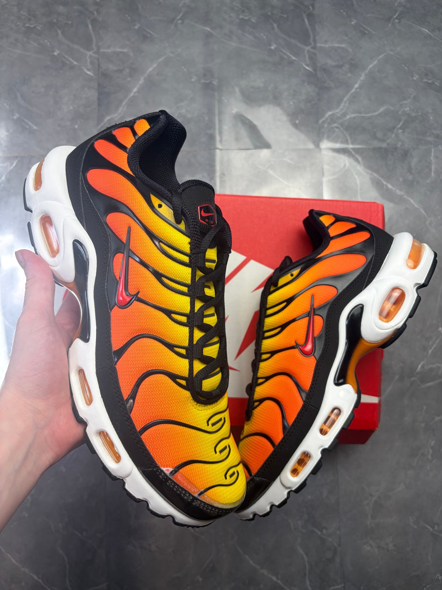 Airmax TN Plus Sunset